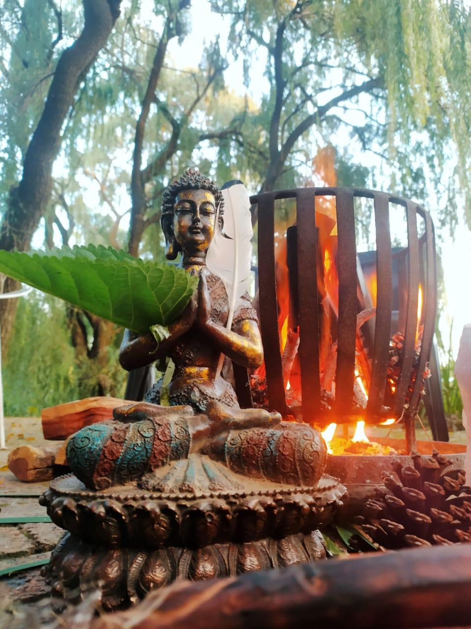 Hollow Reed Healing – Empowering Lives through Love, Connection ...